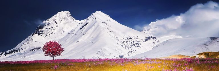 snowy mountains with blooming pink tree--raised by a narcissist