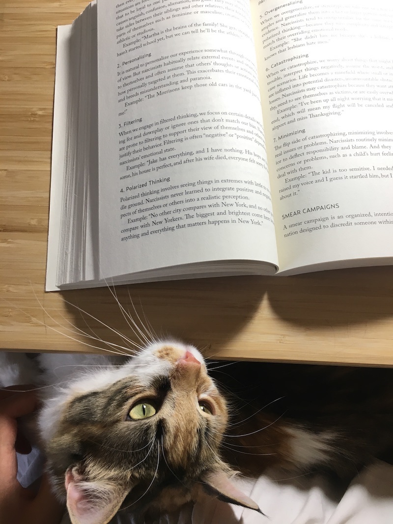 calico cat reading The Narcissist in Your Life